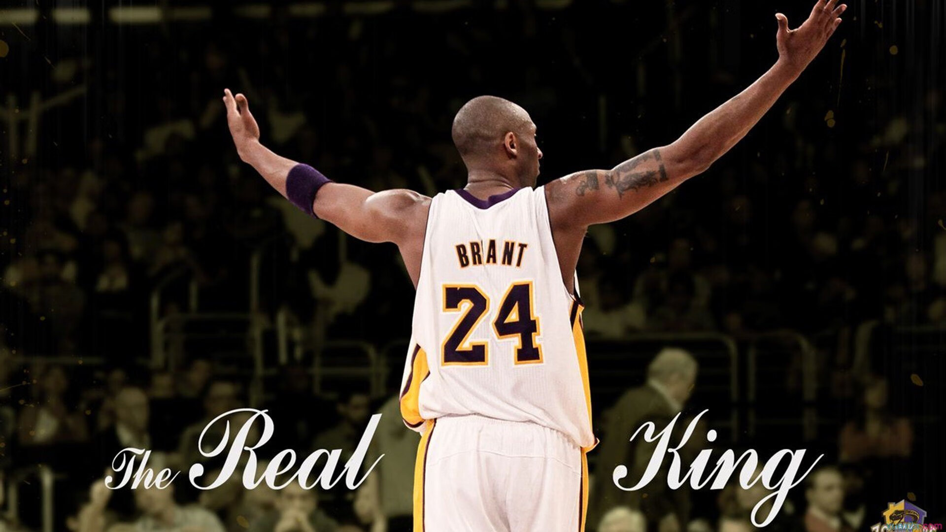 爱游戏(ayx)中国体育国际-波士顿凯尔特人季后赛小胜广州队，张本智和18记关键球引爆全场热潮